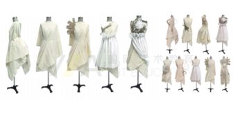 va藝術生留學前,服裝設計作品集怎樣替未來擺脫隱性學歷藐視鏈