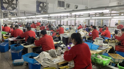 專訪王緝慈:突破傳統制造產業升級難點,“種好技術樹”是關鍵